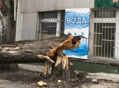 Штормовое предупреждение объявили спасатели в Ростове