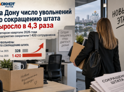 В Ростовской области в 4,3 раза увеличилось число уволенных по сокращению