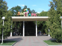 В Ростовском зоопарке в День защиты детей 1 июня юных гостей угостят бесплатным мороженым