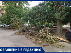 В Ростове упавшее на пенсионерку и машину дерево не убирают больше недели