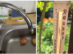 Жители донского города в +37 градусов месяц живут без воды