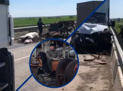 В Ростовской области мужчину после ДТП придавило мертвой лошадью, но ему никто не помог