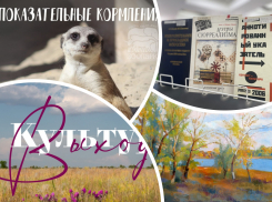 Кормим сурикатов, посещаем выставки и рисуем донской пейзаж: куда пойти в Ростове на этой неделе