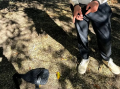 Дончанина отправили в колонию на 3 года за покупку наркотика через мессенджер в Запорожской области