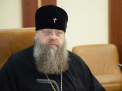 К голосу церкви решили прислушаться депутаты Заксобрания в Ростовской области