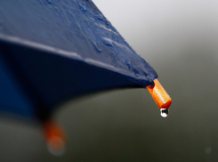 В Ростове ожидается первый снег