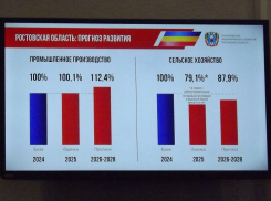 Промышленность Ростовской области подрастет после «проседания», а сельское хозяйство отстанет