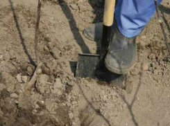 Нанятого за «три копейки» рабочего «уработали» до смерти огородники в Ростове 