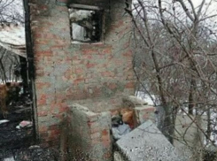 Милосердная жительница Ростова умоляет  помочь оставшимся без хозяина обгоревшим котикам и собакам 