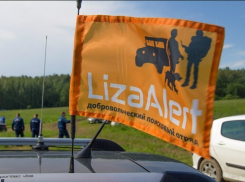 В Ростовской области волонтерам удалось отыскать с начала года 378 пропавших человек