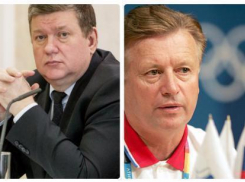 Сенаторы от Ростовской области за 2015 года стали «беднее» на три млн рублей 