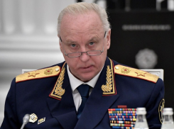 Александр Бастрыкин потребовал разобраться с проблемой отлова бродячих собак в Ростовской области