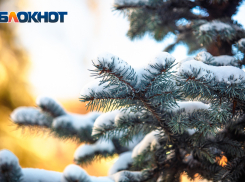 В Ростове-на-Дону 14 февраля пойдет мокрый снег