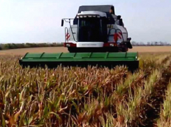 Ростовская область интересным способом решила спасти Крым вопреки проискам украинских радикалов