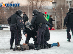 В МВД не смогли назвать точное число задержанных на митинге в поддержку Навального в Ростове