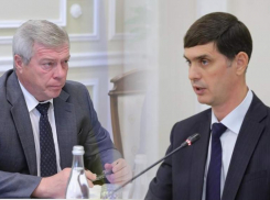 В правительстве Ростовской области боятся уволить осужденную чиновницу
