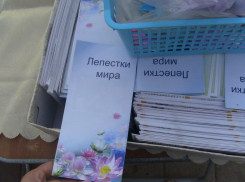 Активисты движения, запрещенного в Китае, дискредитировали власти КНР в Ростове 