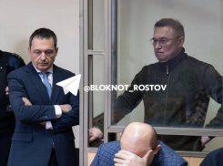 Экс-советник губернатора Ростовской области Гончаров требует вернуть дело на дополнительное расследование