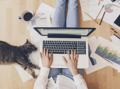 Власти Ростова призвали предприятия перевести сотрудников на удаленку из-за ливня