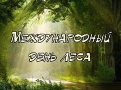 Календарь: Международный день лесов 