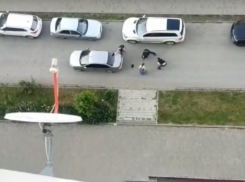 Драка водителя иномарки и прохожего на Левенцовке в Ростове попала на видео