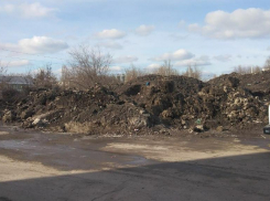 Власти Ростова отправили коммунистов проводить пикет в поддержку СВО на склад грязного снега  