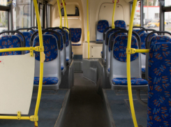 Власти Ростова готовы расторгнуть договор с двумя транспортными компаниями