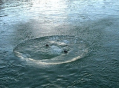 В Ростовской области за сутки утонули три ребенка и один взрослый