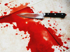 Календарь: 12 ноября 2008 года раскрыли кровавое убийство 11-летней давности в Ростовской области 