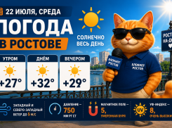 В Ростове 22 июля установится солнечная и жаркая погода