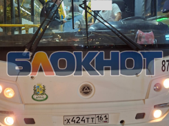 «Слава Богу, что живы»: ростовчанка пожаловалась на опасную поездку в автобусе №45