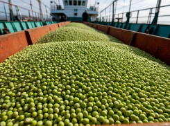 Перевозчик украл горох на сумму более трех миллионов рублей в Ростовской области 