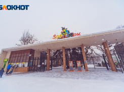 Бесплатный вход в Ростовский-на-Дону зоопарк подарят Татьянам