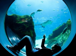 Эксклюзивная маршрутка прокатила по Чернобылю и вылечила нервы жителям Ростова