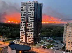 Природный пожар на левом берегу Дона в Ростове локализовали на 60 га