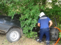 В Ростовской области «девяносто девятая» врезалась в дерево: пострадал водитель 