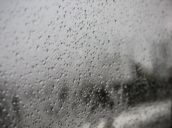 Дождь с грозой сменит жару в Ростове-на-Дону