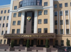 Прокуратура внесла представление губернатору из-за нарушения прав детей-сирот в Ростовской области 