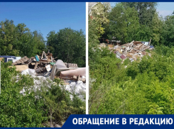 Гора строительного мусора образовалась в заповедной зоне в Ростове