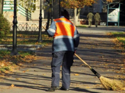 В Ростовской области существует острый дефицит дворников в 2024 году