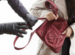Сумкой с полумиллионом рублей «соблазнила» грабителя экономист хлебозавода в Ростовской области