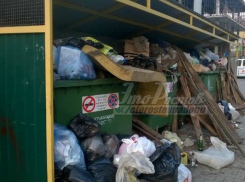 Смердящая помойка расцвела пышным цветом в центре Ростова