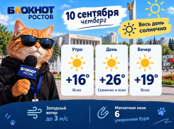 До +26 градусов прогреется воздух в Ростове 10 сентября