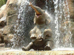 Посетители ростовского зоопарка увидят купание и кормление животных