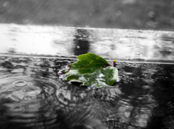 Очень теплым, но дождливым станет начало октября в Ростове 