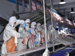 В Ростовской области возобновил работу завод по убою индейки