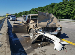 В страшной аварии на трассе М-4 «Дон» пострадали мама и четырехлетняя девочка