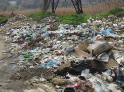 Прокуратура обязала администрацию Ростова избавиться от несанкционированных свалок