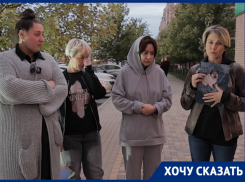 «Собака просила помощи»: ростовчане жалуются на вопиющую ситуацию с убийством чипированных собак 