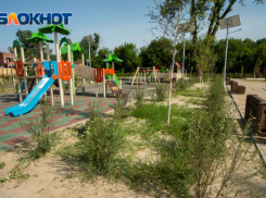 В Ростове на Зеленом острове высадят новые растения взамен засохших до 11 мая